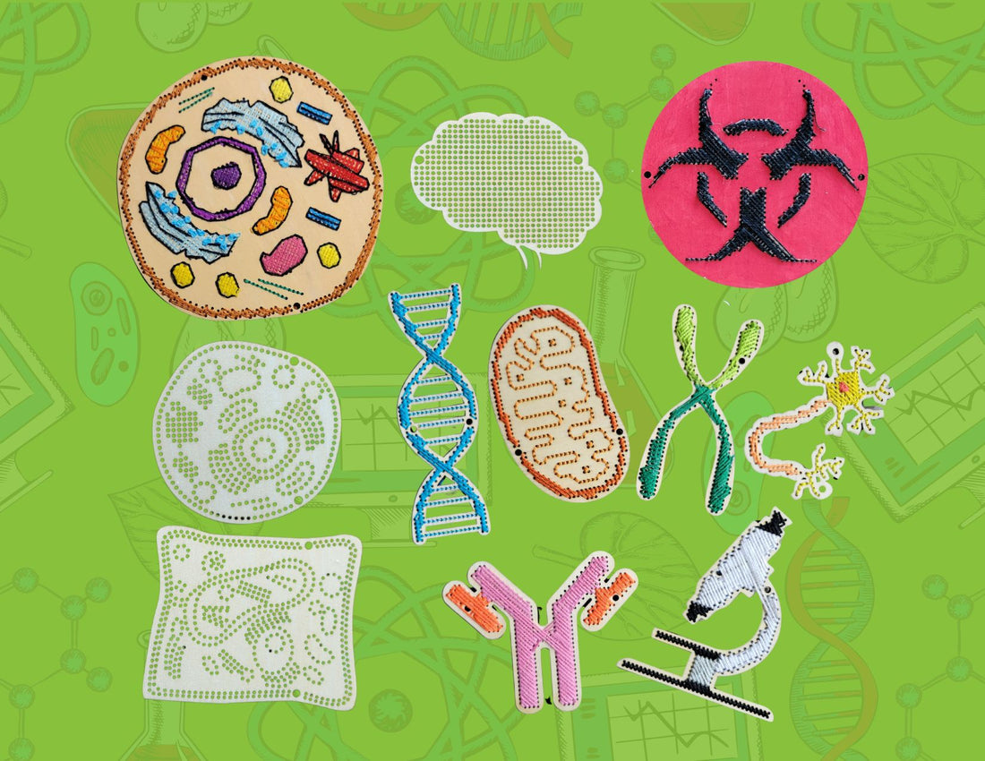Random 4-Pack Science Wooden Cross Stitch Shapes