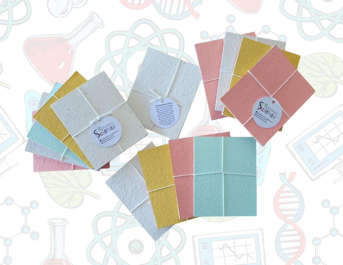 Biodegradable Notecards + Envelopes (5 pack)