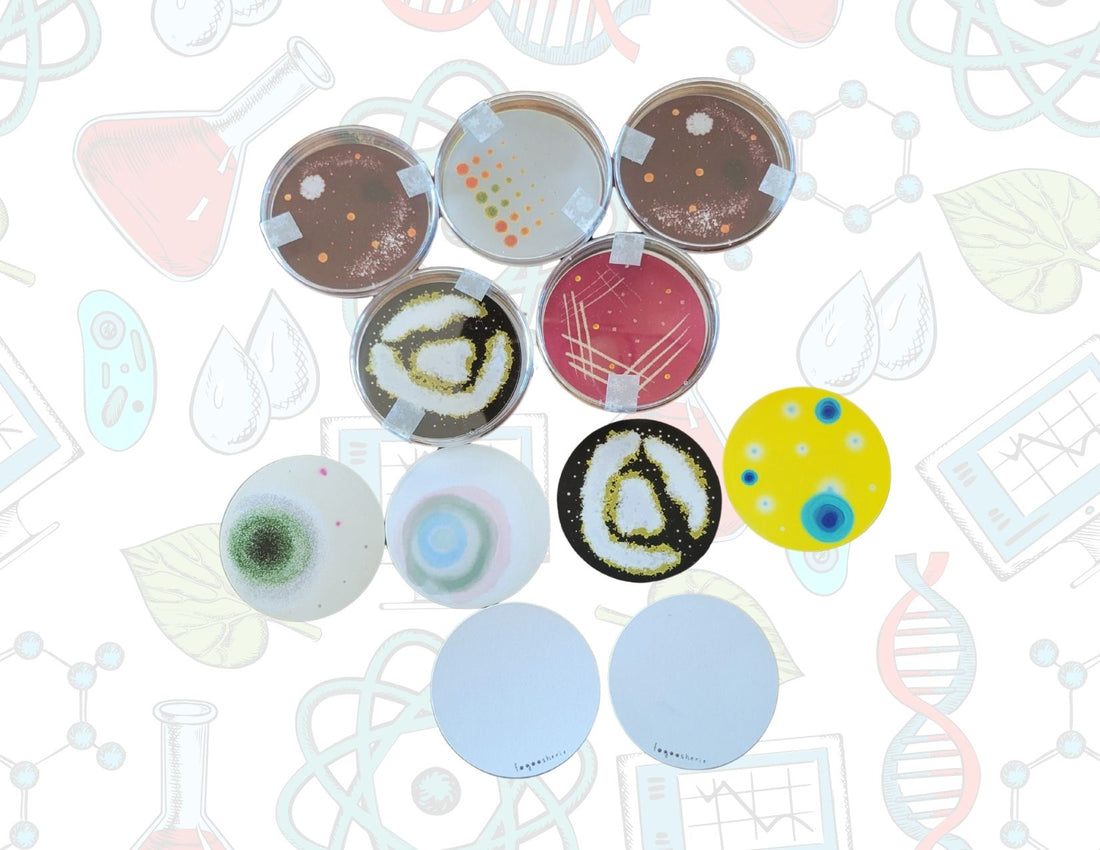 Petri Dish Notecards + Envelopes (6 pack)