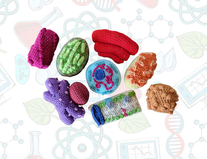 Biology Crochet Shapes