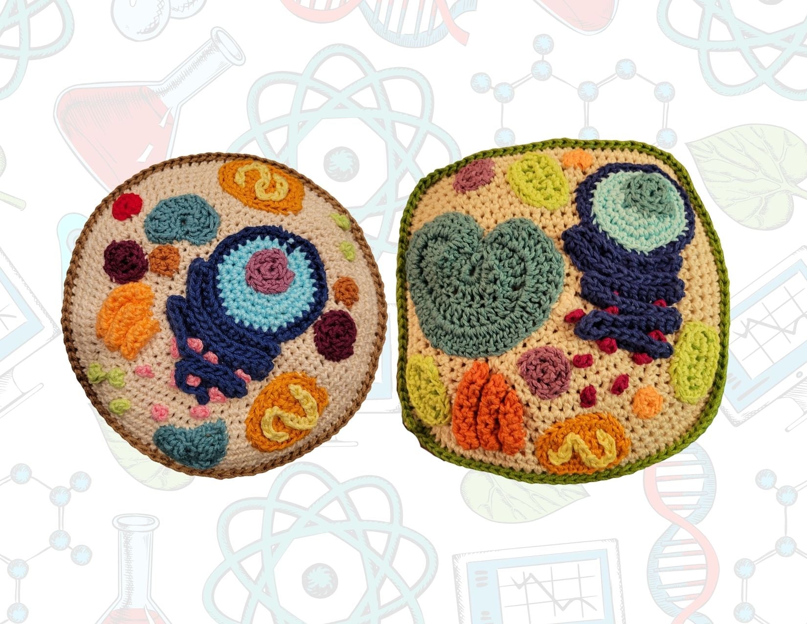 Biology Crochet Shapes