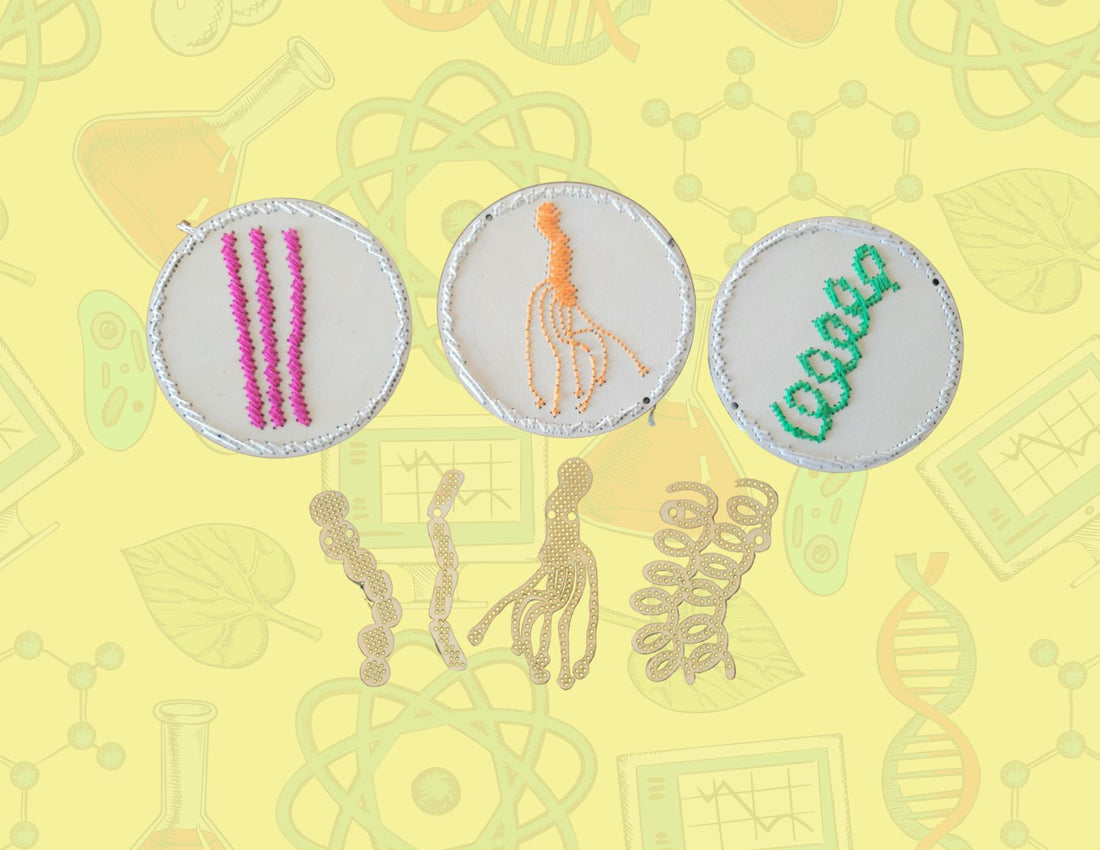 Blank Microbiology Wooden Cross Stitch Shapes