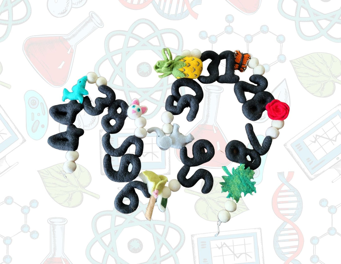 Biology Garlands