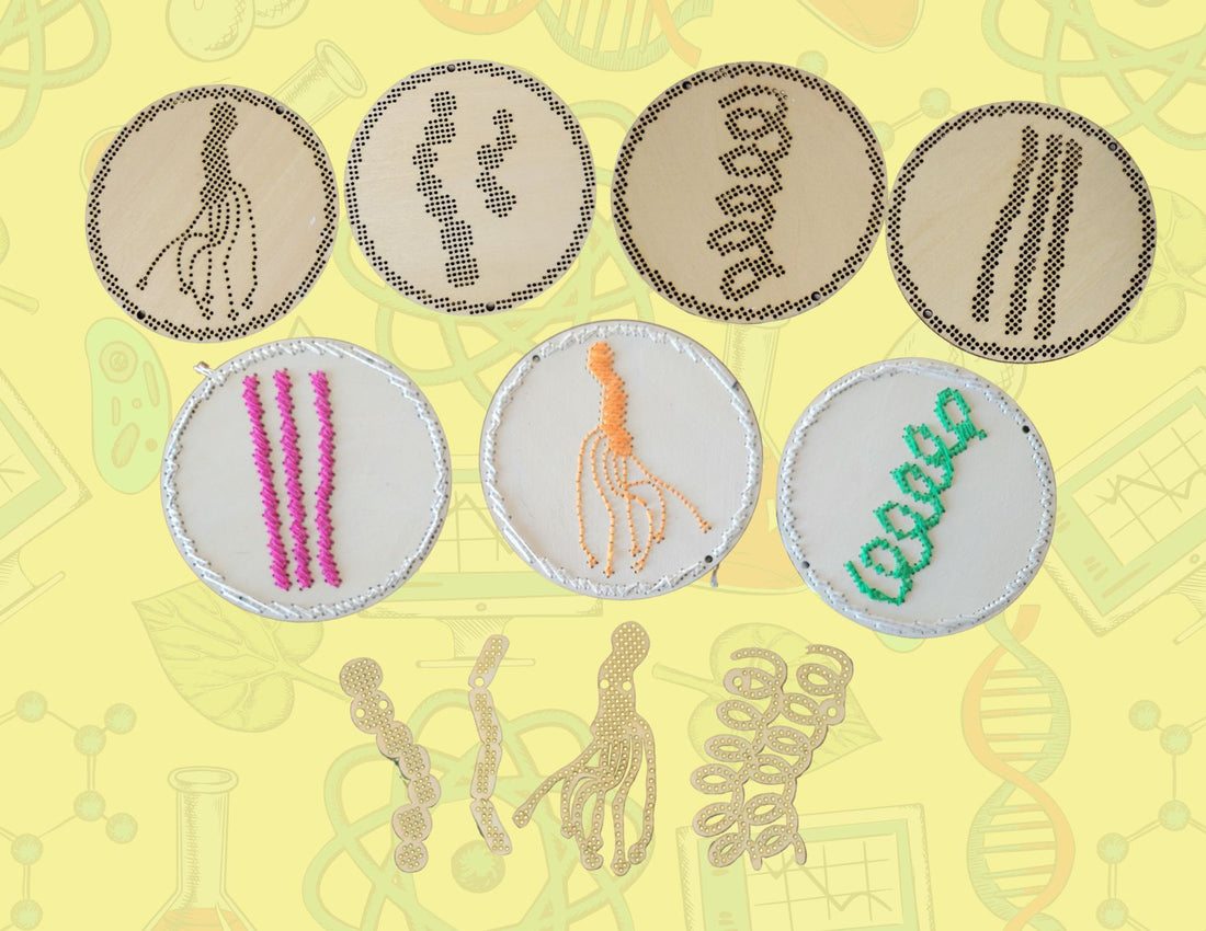 Pre-Strung Microbiology Wooden Cross Stitch Shapes